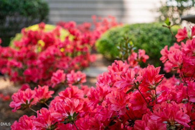 105 Fifemoor Court, Cary, NC 27518