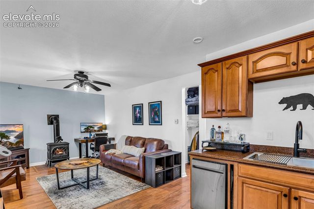 386 Prunes Place, Fairplay, CO 80440