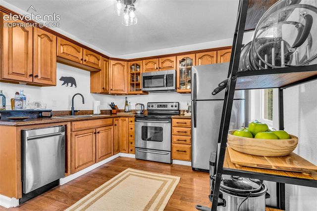 386 Prunes Place, Fairplay, CO 80440