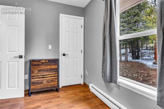 386 Prunes Place, Fairplay, CO 80440