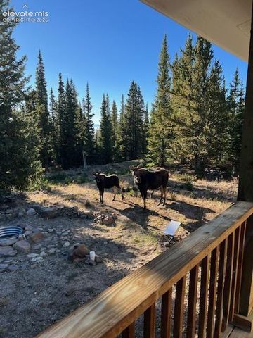 386 Prunes Place, Fairplay, CO 80440