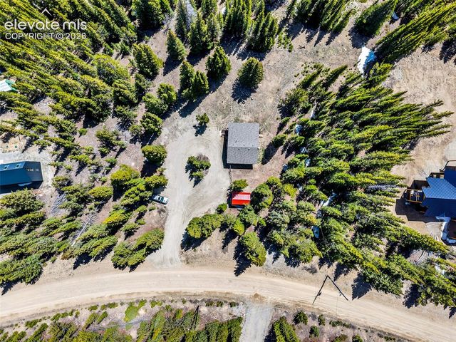 386 Prunes Place, Fairplay, CO 80440