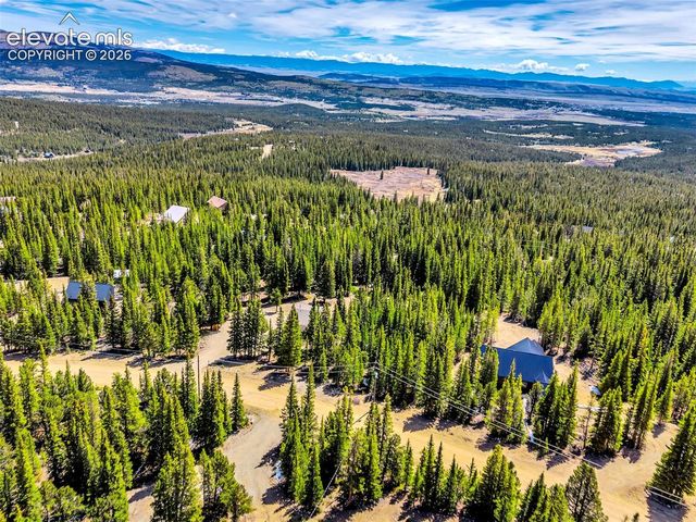 386 Prunes Place, Fairplay, CO 80440