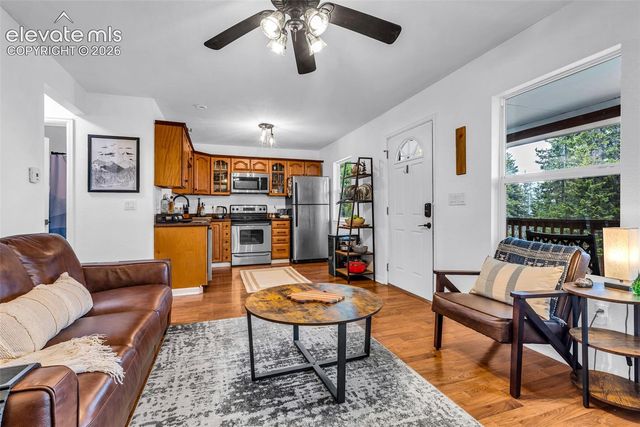 386 Prunes Place, Fairplay, CO 80440