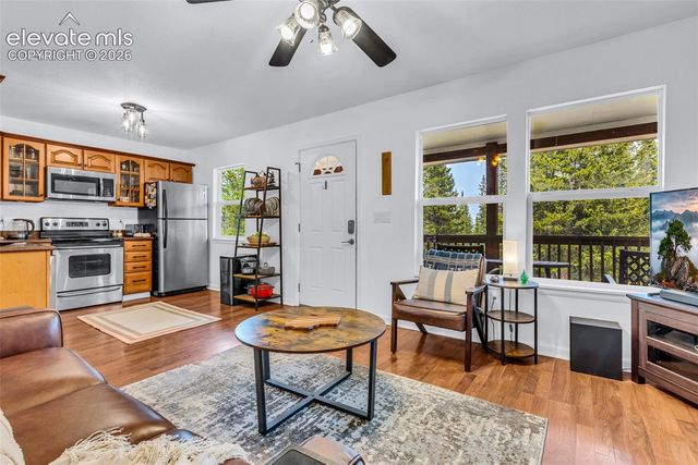 386 Prunes Place, Fairplay, CO 80440