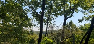 Lot 3,4,24 Adams Road, Forsyth, MO 65653