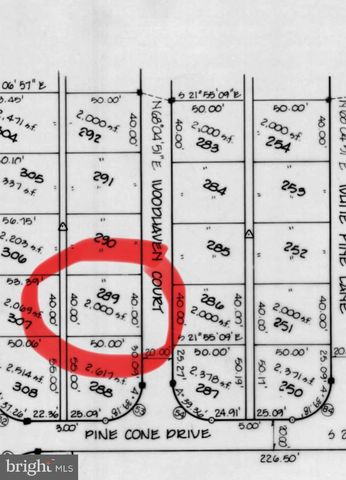 289 WOODHAVEN CT, Berlin, MD 21811