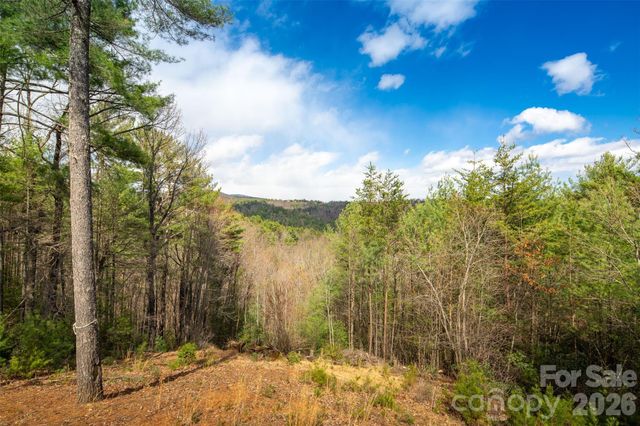128 Deer Antler Drive, Purlear, NC 28665
