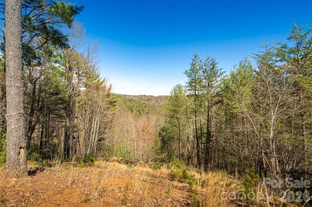 128 Deer Antler Drive, Purlear, NC 28665