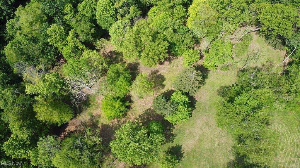 204 Reichart Avenue 3, Wintersville, OH 43953