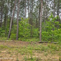 Lot 12 Holly Woods, Robbins, TN 37852