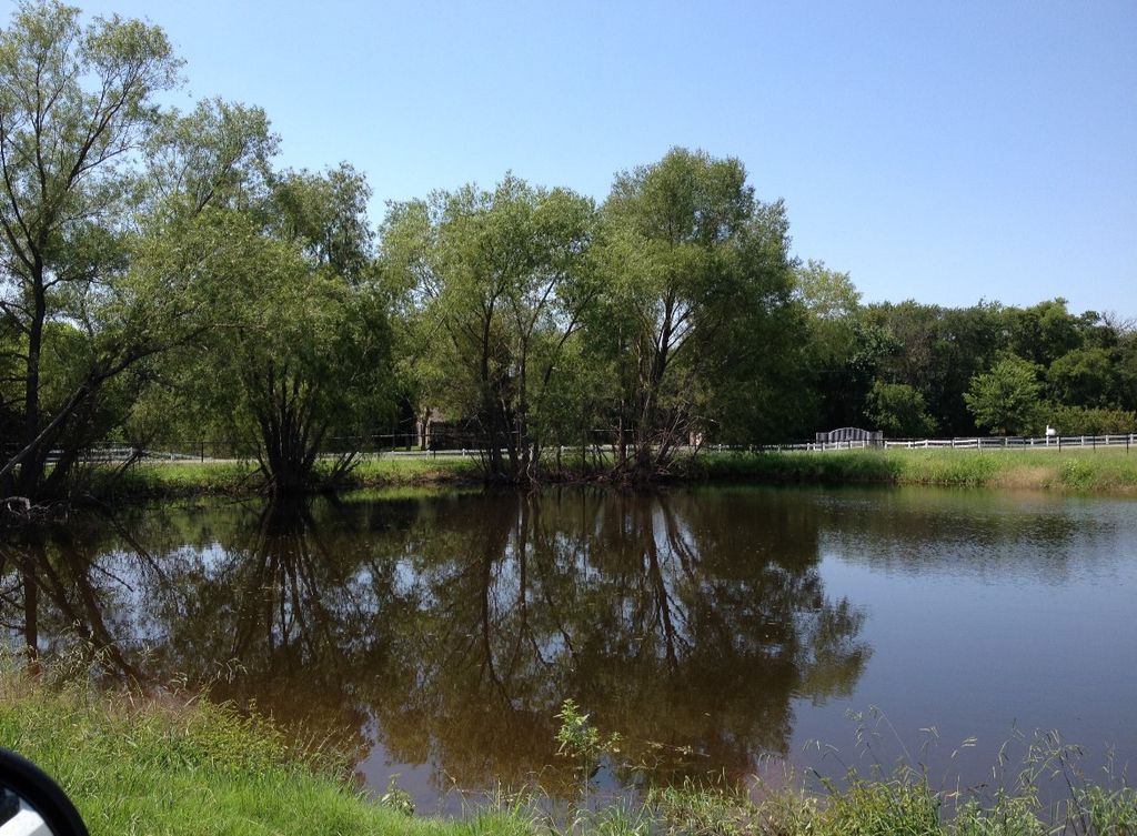 11321 Wild Rose Lane, Anna, TX 75409