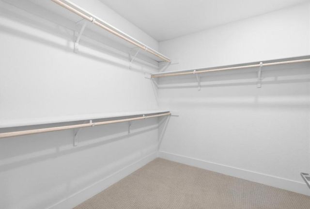 9009 Whitesurf Way, Newark, CA 94560
