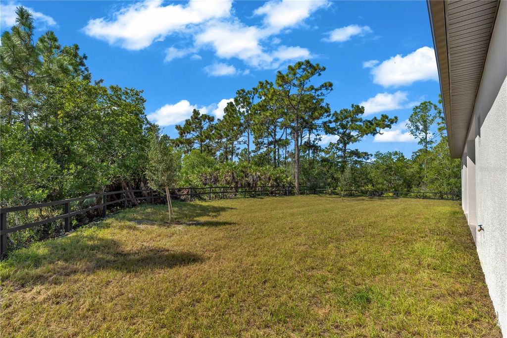 Image 51 of property listing at 19406 PALMLAND STREET, Orlando, FL 32833