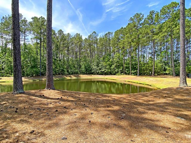 4853 Rocking Porch Lane, Summerville, SC 29485