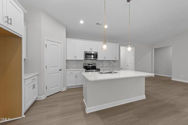 260 Pretty Run Branch Lane, Wendell, NC 27591