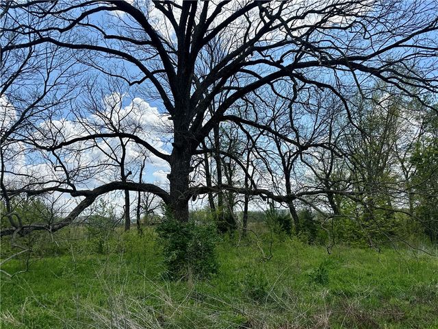 19572 Springston Ford Road, Elkins, AR 72727