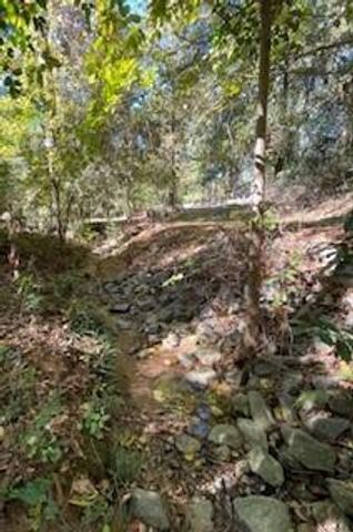 335 Saddletree Lane, Martinez, GA 30907