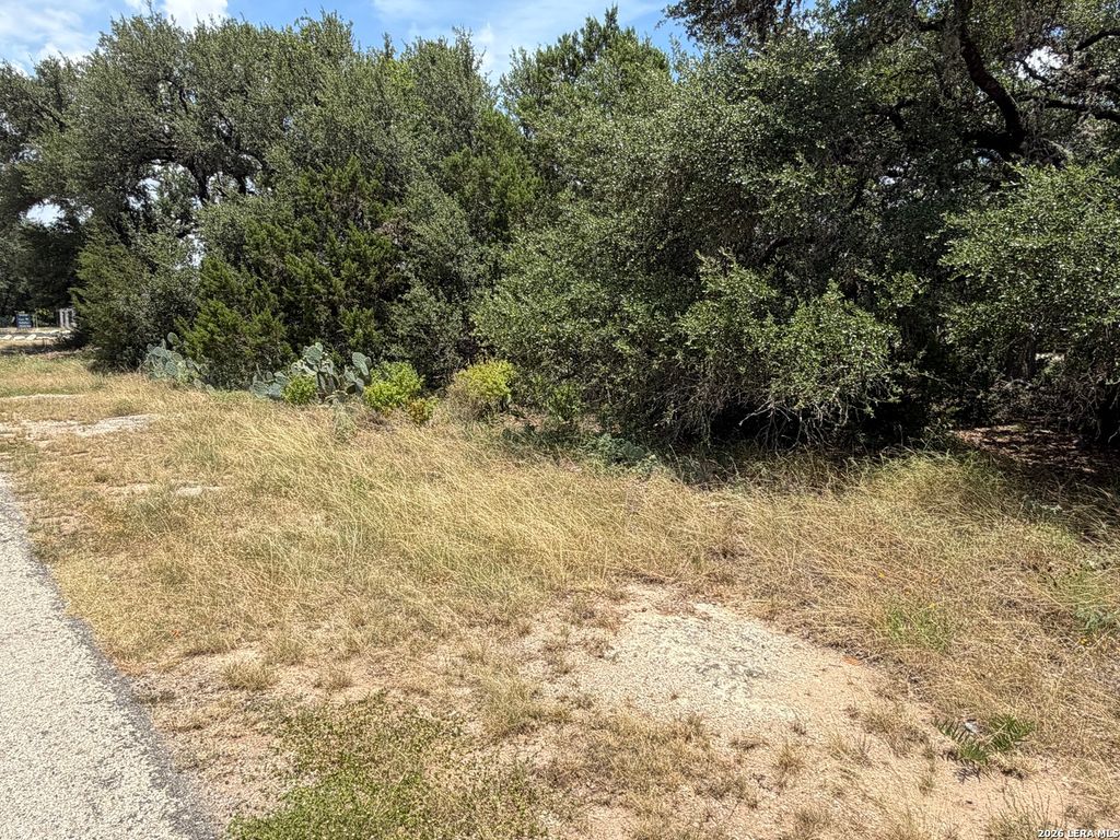 0 TBD Lake Island Dr, Canyon Lake, TX 78133