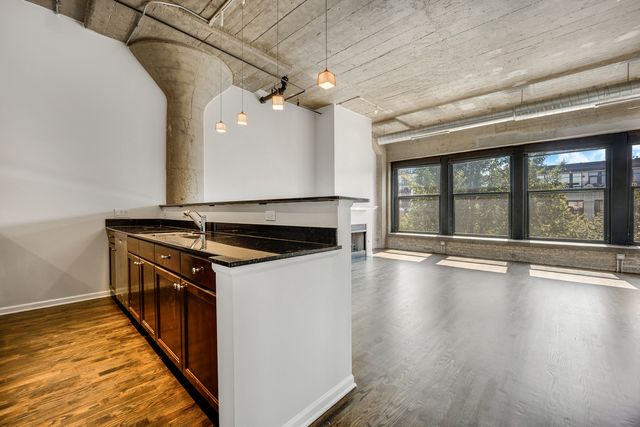 1000 W 15th Street 331, Chicago, IL 60608