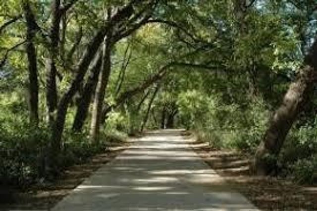 501 W Kimball Street, Mansfield, TX 76063