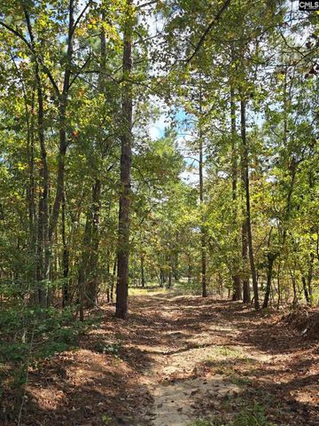 1646 Baughman Road, Columbia, SC 29045