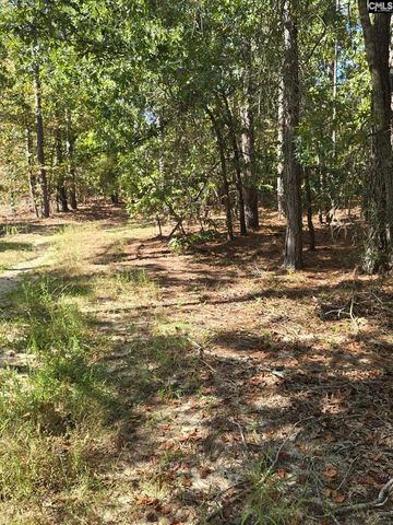 1646 Baughman Road, Columbia, SC 29045