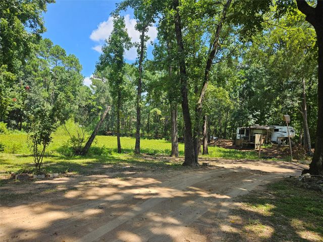 14319 Shepard Hill Road, Willis, TX 77318