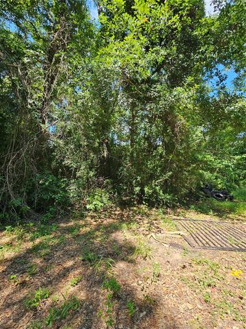 14319 Shepard Hill Road, Willis, TX 77318