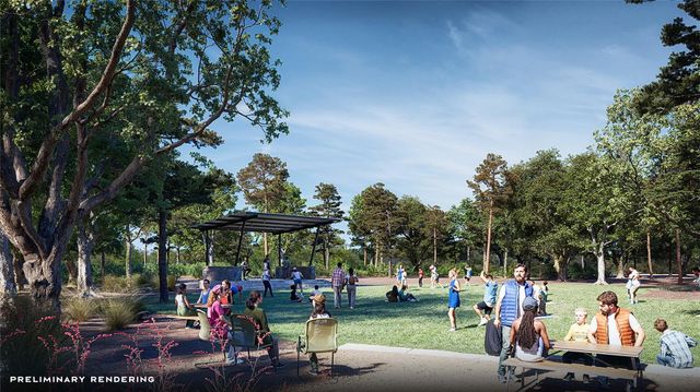 41631 Wendele Way, Todd Mission, TX 77316