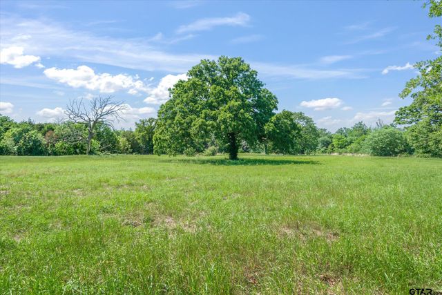 350 VZ County Road 2135, Canton, TX 75103