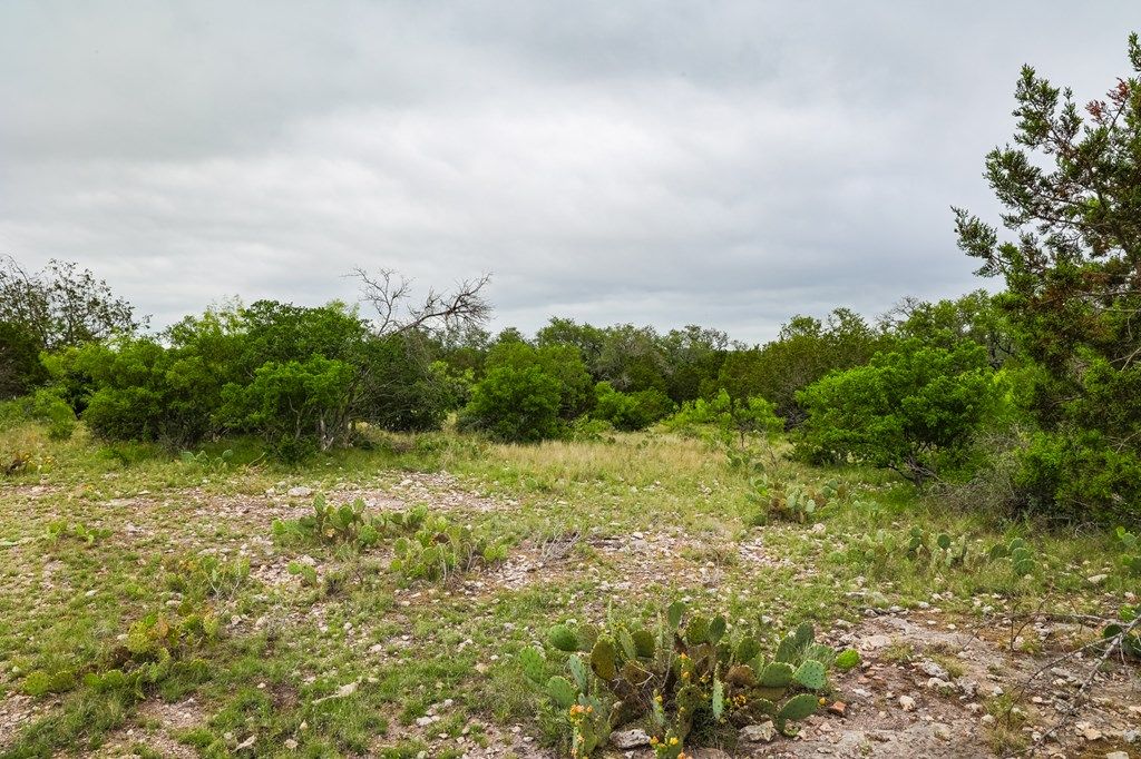 Image 16 of property listing at 669 Private Rd 3523, Roosevelt, TX 76874