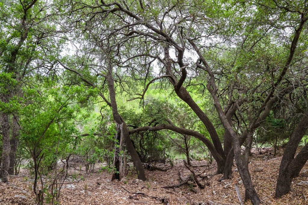 Image 17 of property listing at 669 Private Rd 3523, Roosevelt, TX 76874