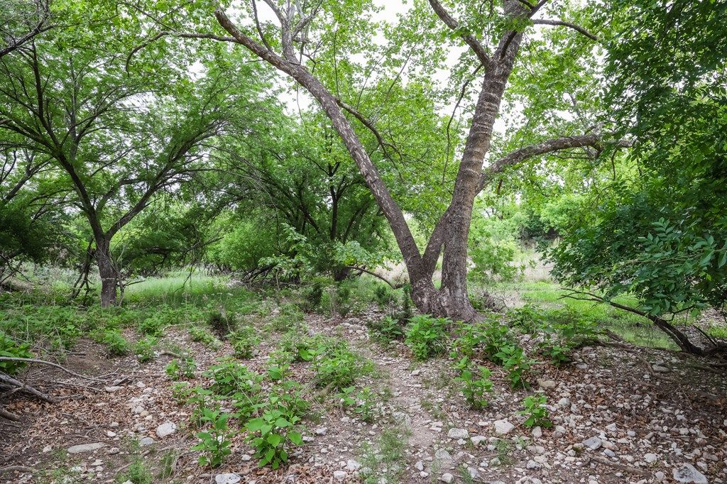 Image 18 of property listing at 669 Private Rd 3523, Roosevelt, TX 76874