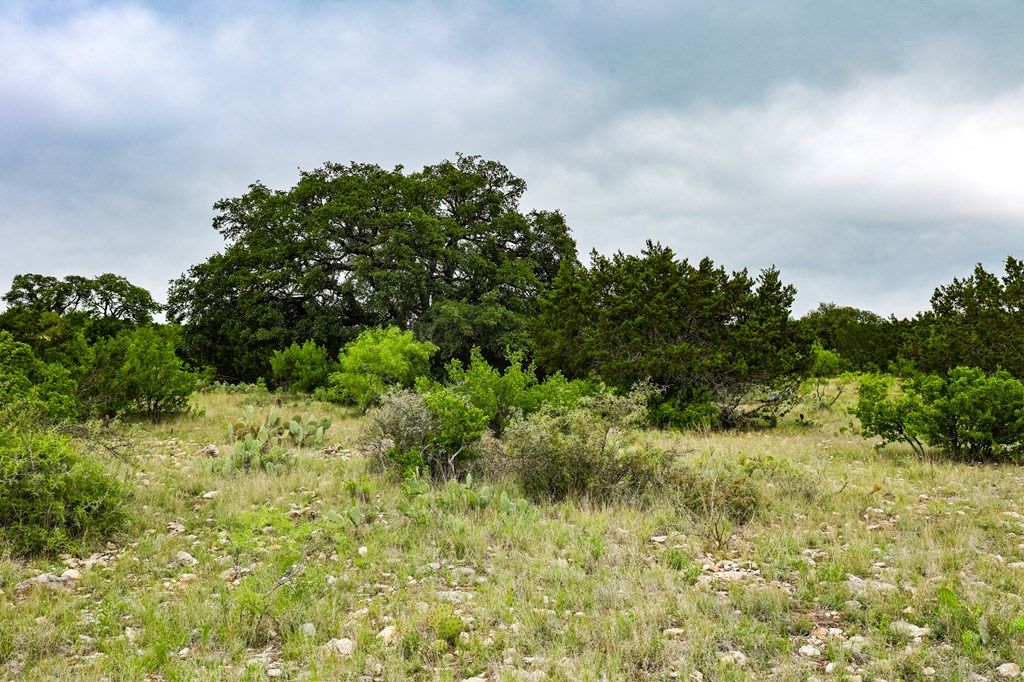Image 4 of property listing at 669 Private Rd 3523, Roosevelt, TX 76874