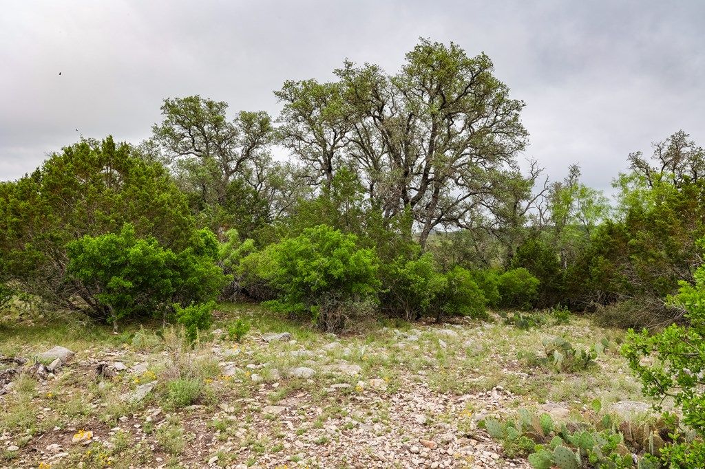 Image 8 of property listing at 669 Private Rd 3523, Roosevelt, TX 76874