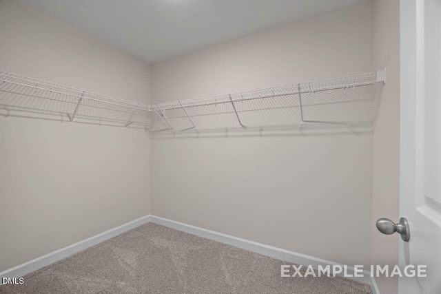 3831 Well Fleet Drive, Willow Springs, NC 27592