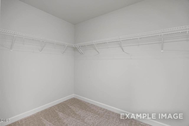 3831 Well Fleet Drive, Willow Springs, NC 27592