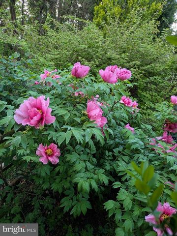 5 BILTMORE CT, Wilmington, DE 19808