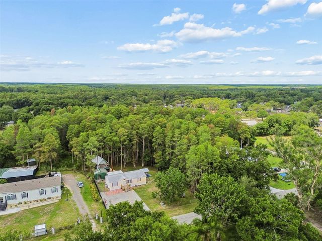 17808 DOGWOOD DRIVE, Lutz, FL 33558