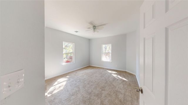 4102 Abelia Court, Arlington, TX 76017