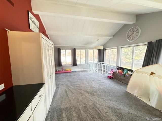 1322 N Monroe Street, Lapeer, MI 48446