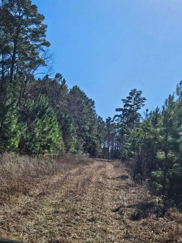 5542 FM 752, Rusk, TX 75785