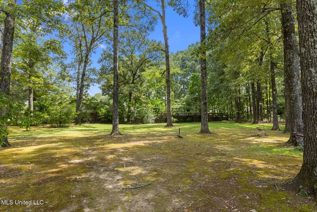 11 S Terrapin Hill Road, Brandon, MS 39042