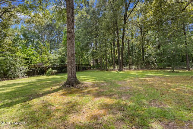 11 S Terrapin Hill Road, Brandon, MS 39042