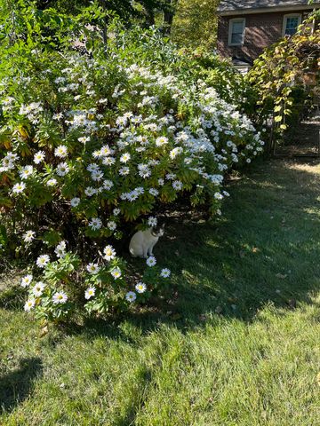 68 Cole Street, Bridgeport, CT 06604