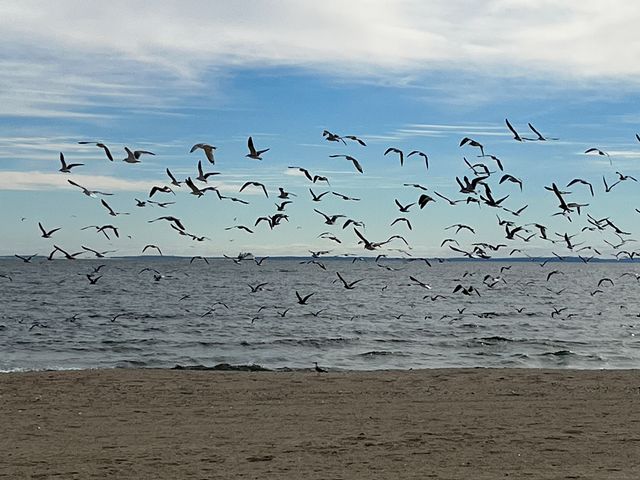 68 Cole Street, Bridgeport, CT 06604