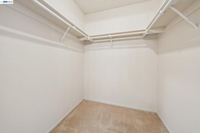 1024 Fontana Dr, Alameda, CA 94502