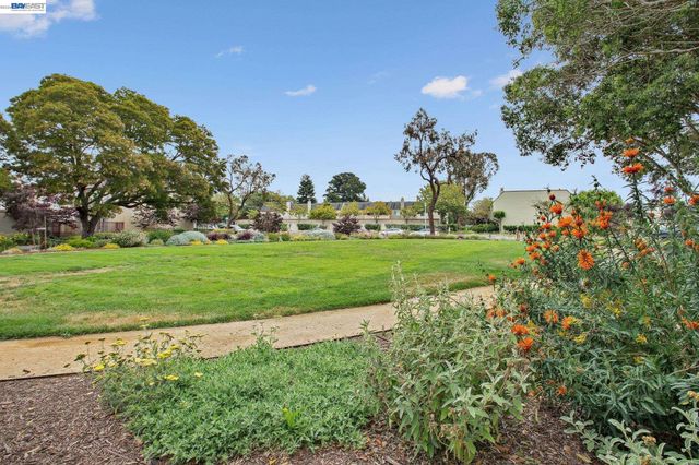 1024 Fontana Dr, Alameda, CA 94502