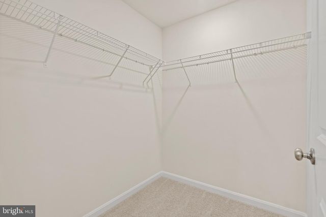 715 MANAGRASS DR, Joppa, MD 21085